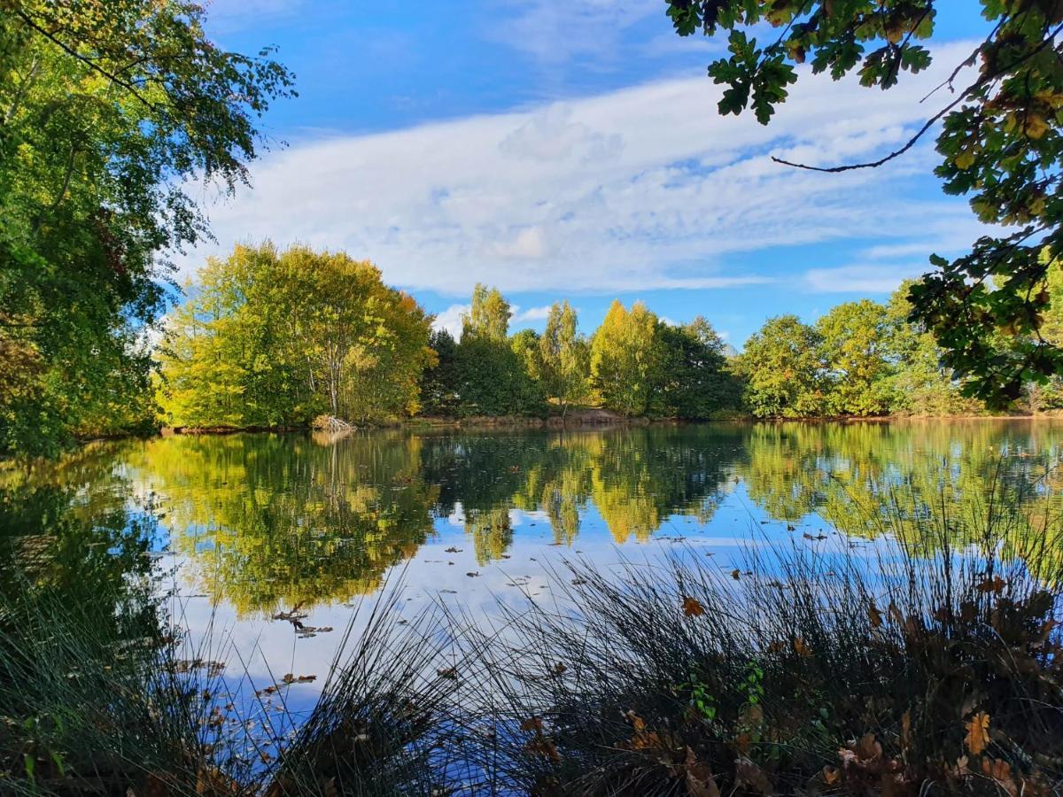 Ferienwohnung Am See Dillich - Eigener Garten - Ruhige Lage - Natur Vor Der Haustuer 보르켄 외부 사진