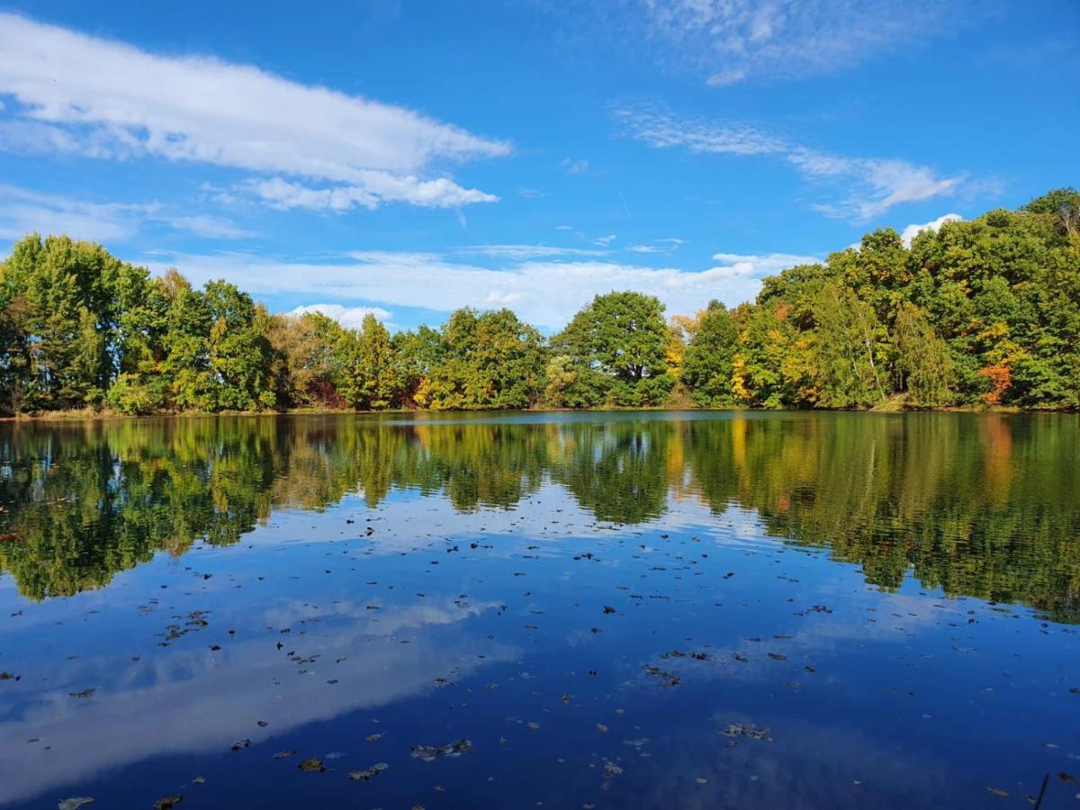 Ferienwohnung Am See Dillich - Eigener Garten - Ruhige Lage - Natur Vor Der Haustuer 보르켄 외부 사진