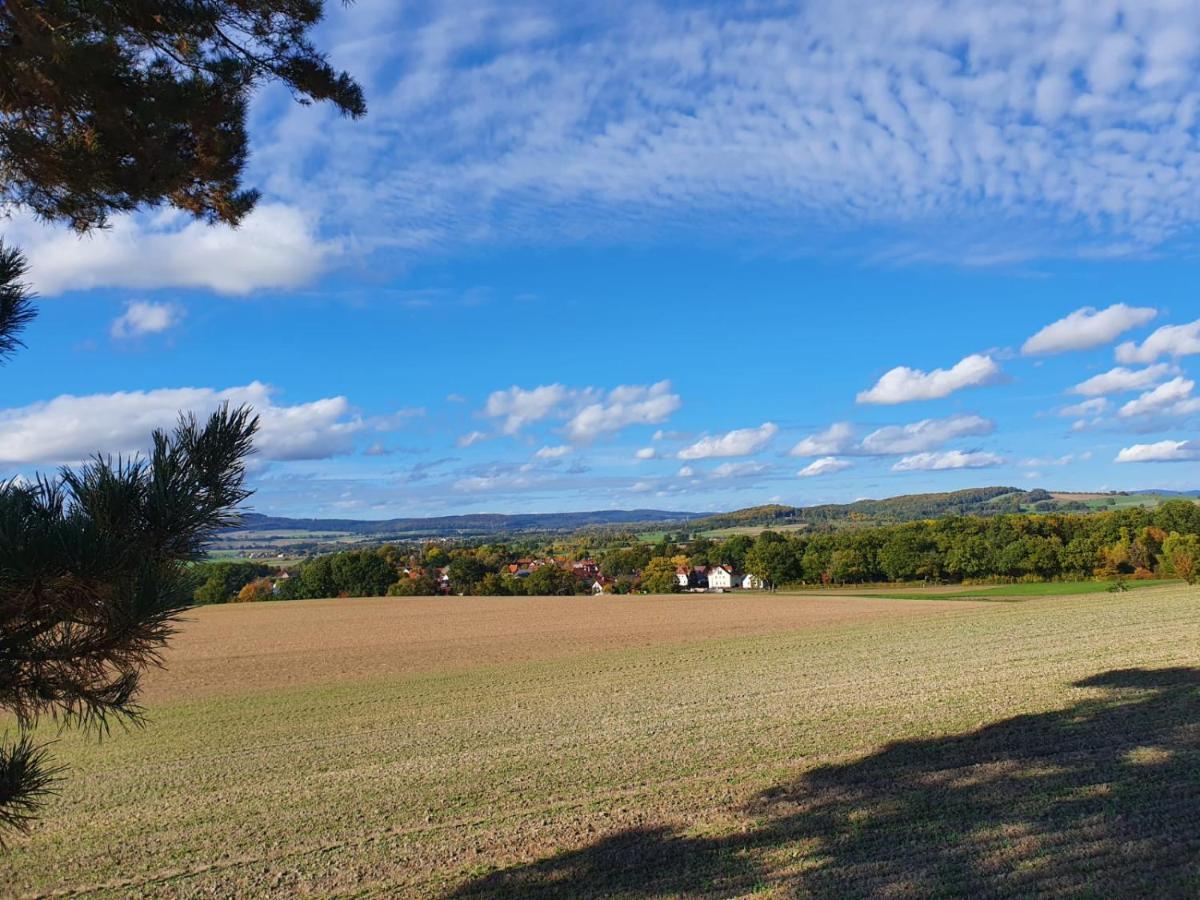 Ferienwohnung Am See Dillich - Eigener Garten - Ruhige Lage - Natur Vor Der Haustuer 보르켄 외부 사진