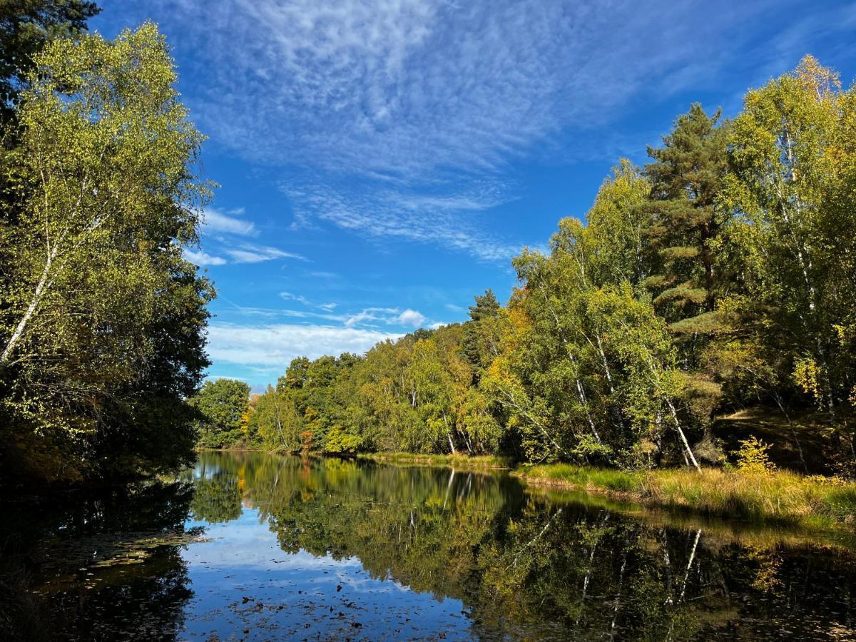 Ferienwohnung Am See Dillich - Eigener Garten - Ruhige Lage - Natur Vor Der Haustuer 보르켄 외부 사진