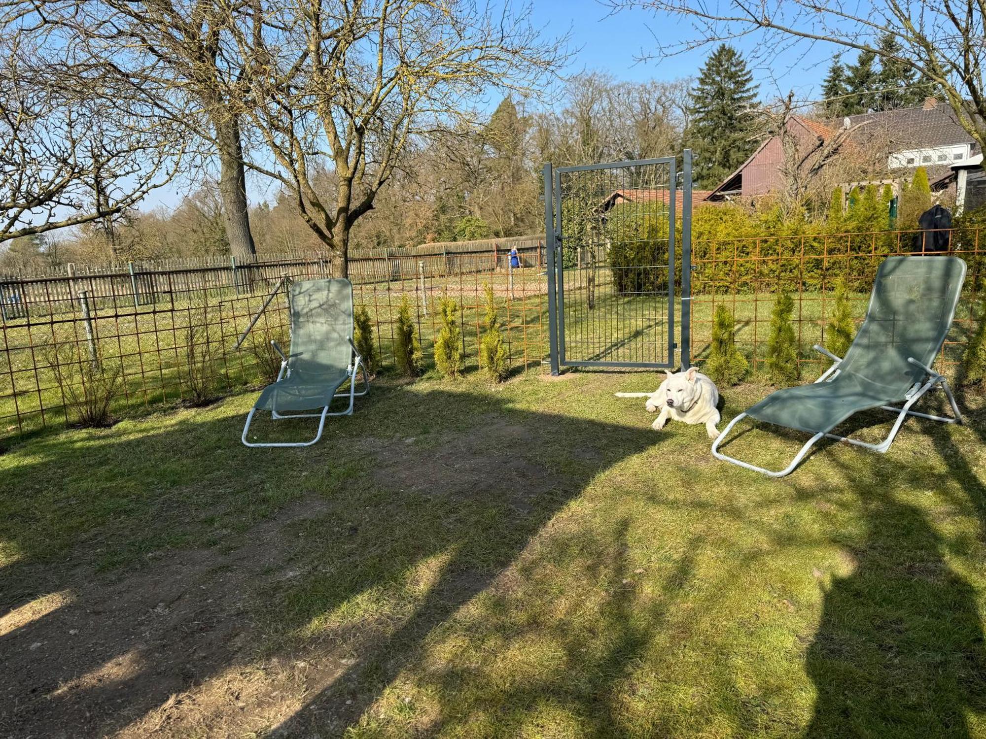 Ferienwohnung Am See Dillich - Eigener Garten - Ruhige Lage - Natur Vor Der Haustuer 보르켄 외부 사진